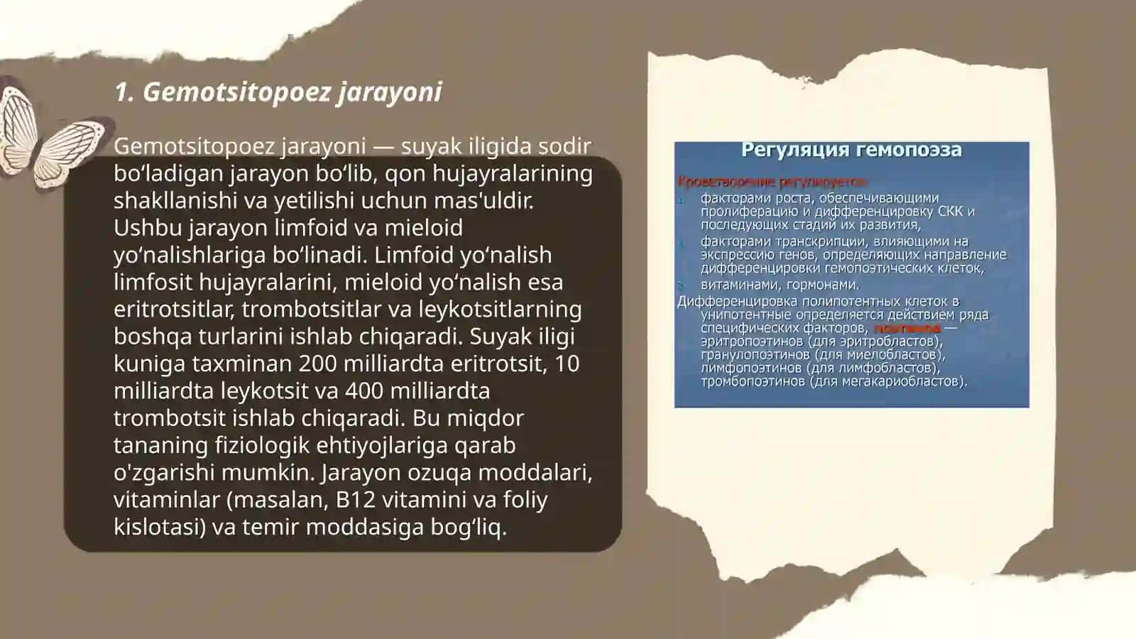 Gemotsitopoez 3