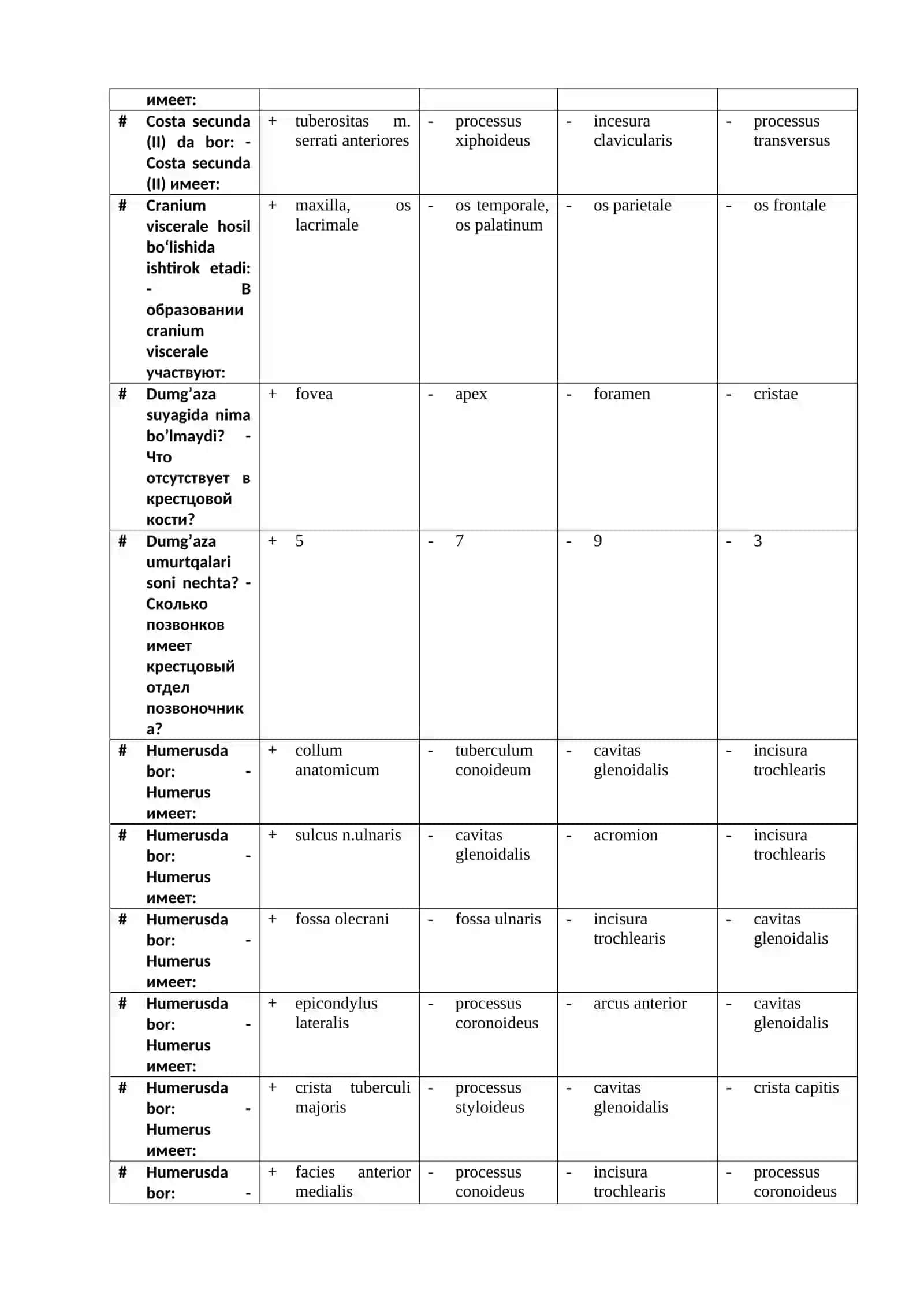 Поясничные позвонки 3