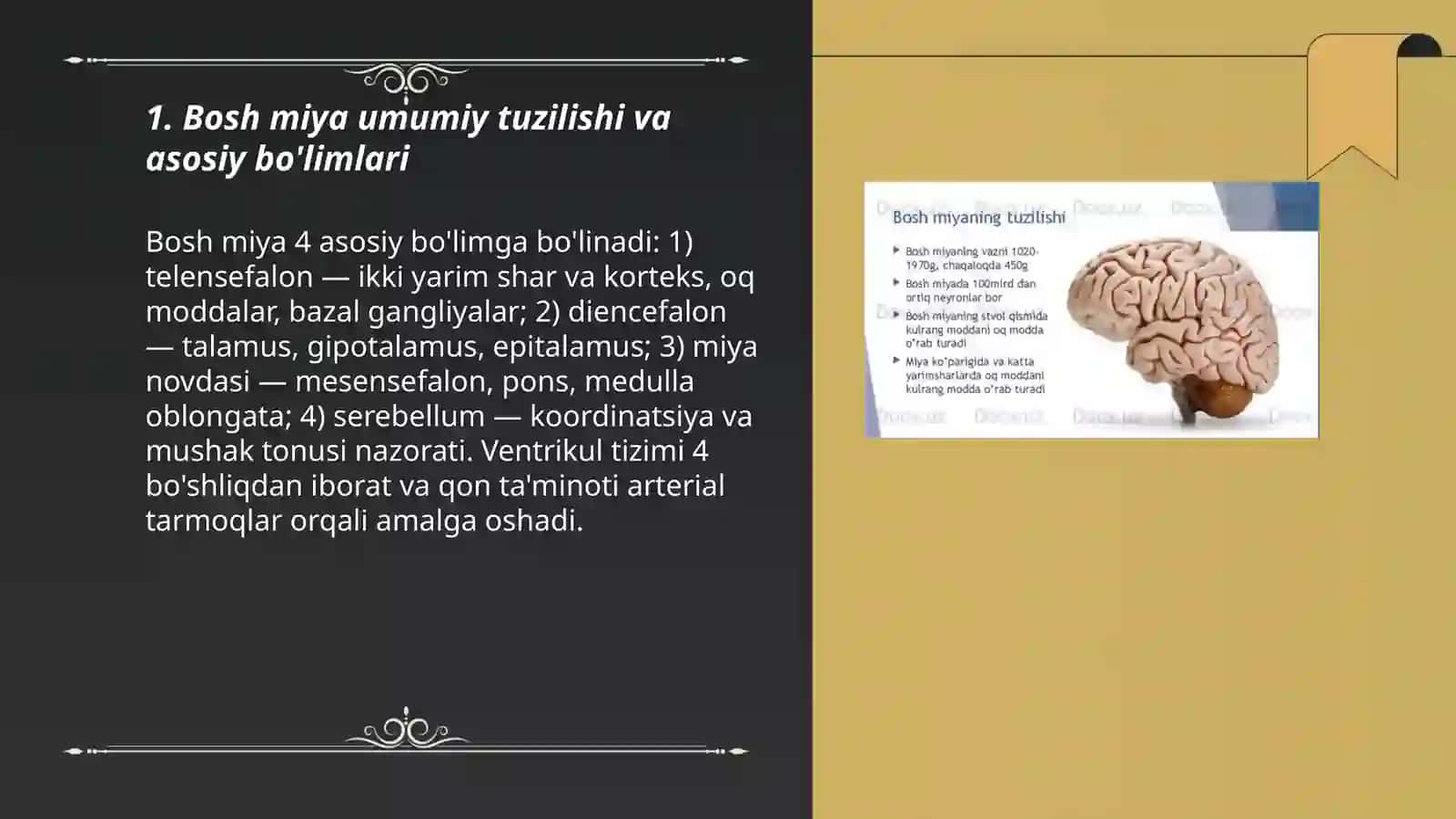 Egatlari va burmalari. Miya markazlari funksional markazlari haqida 3
