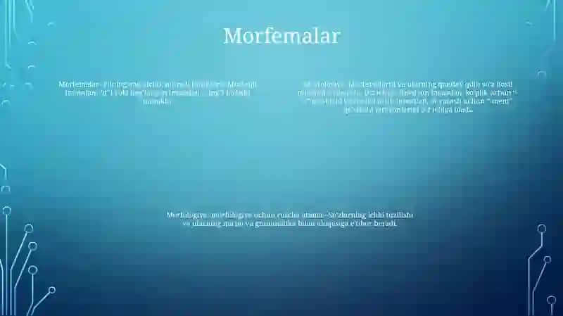Morfologiya 3