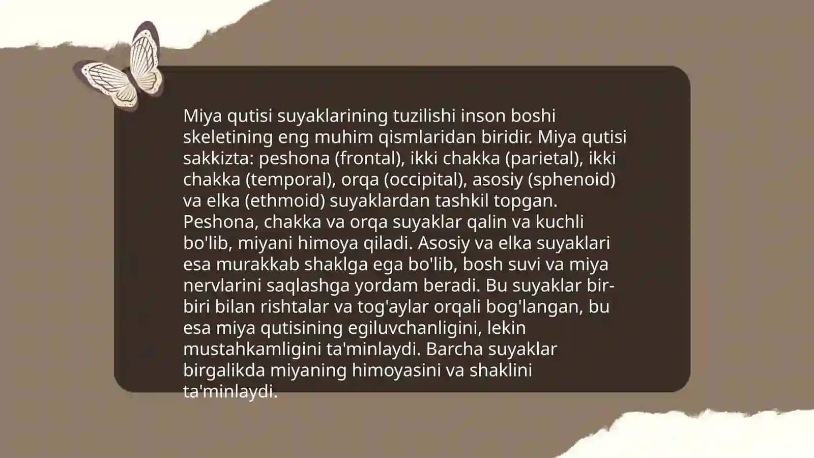 Miya qutisi suyaklari. Yuz suyaklarini òrganish 3