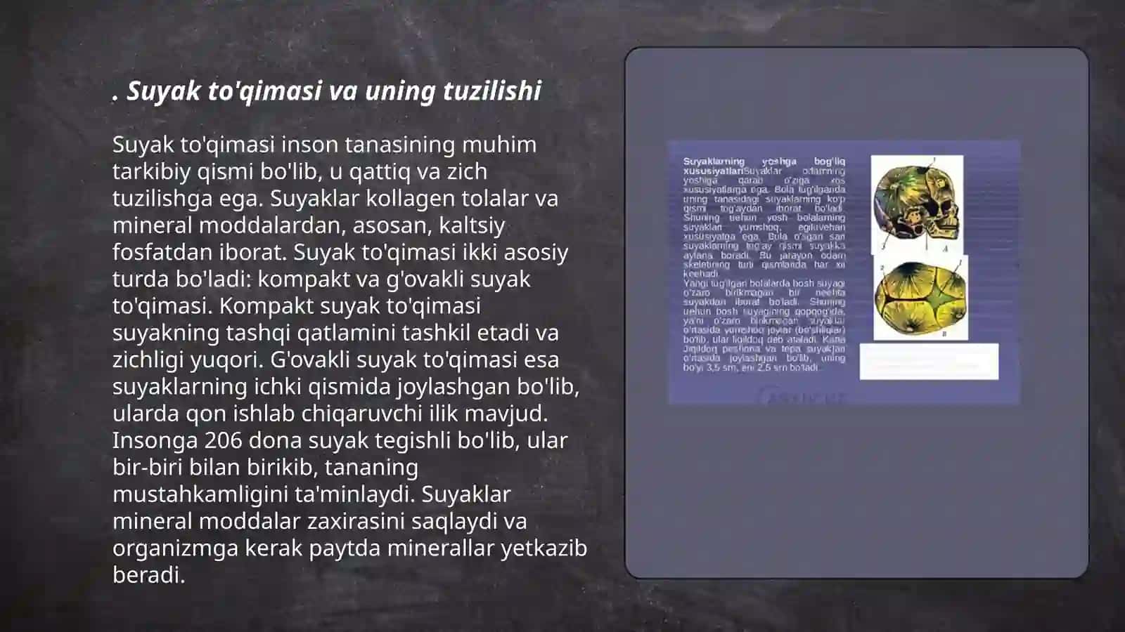 Organizmdagi suyaklarning tuzilishi. yos hxususiyatlari va xillari. Bolalarda qaddi-qomatning shakllanishi va kamchiliklari 3