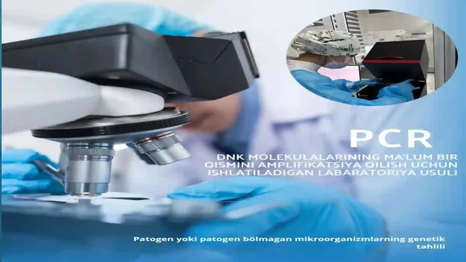 PCR tashxisi 3