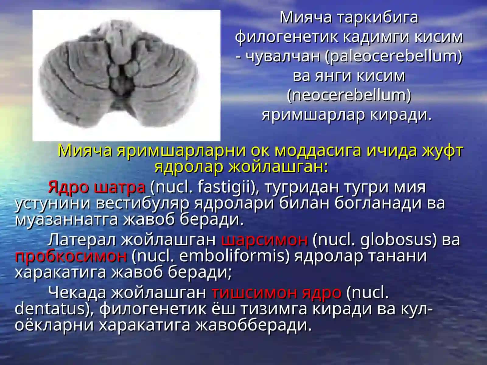 Мияча 3