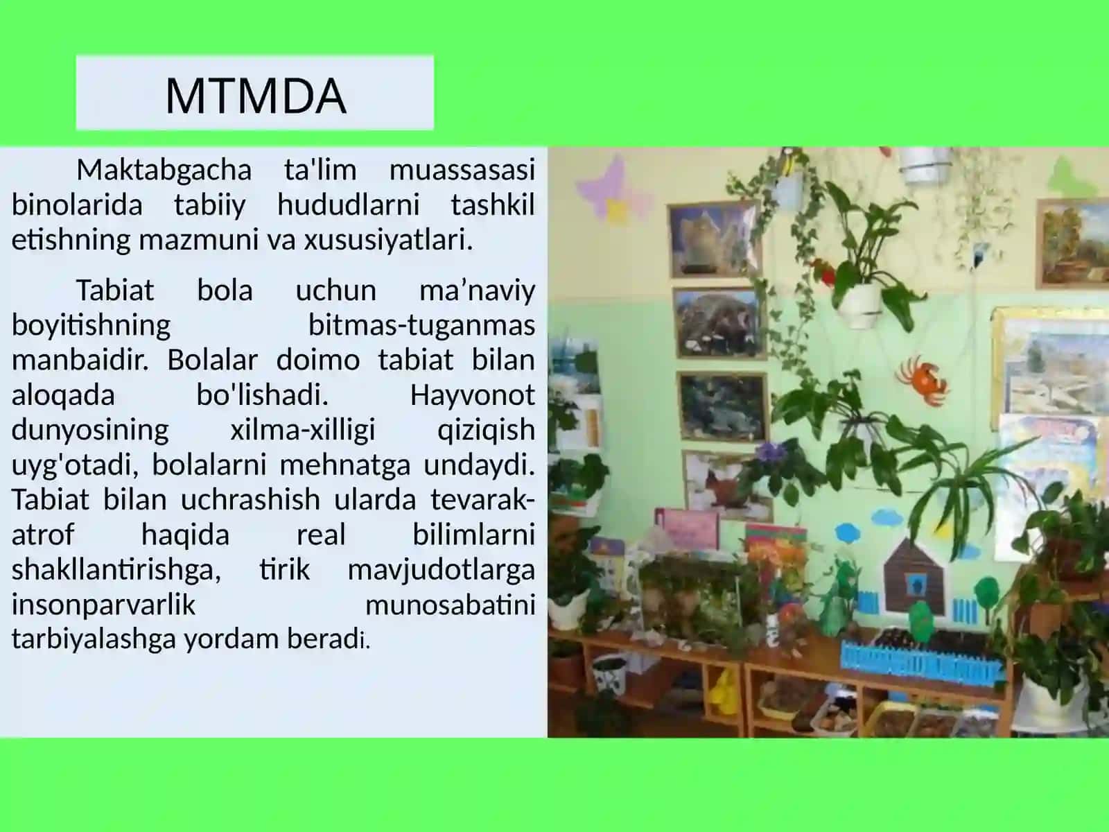 MTM daturliguruhlarda tabiat burchagini tashkil qilish 3