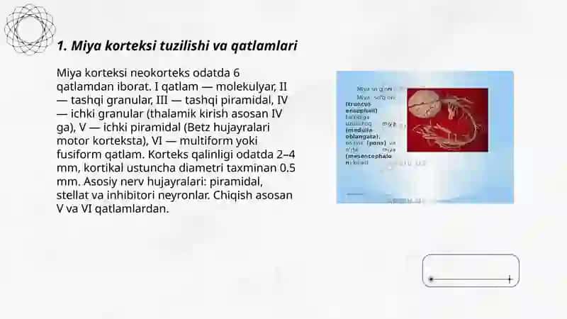 Miya sharlari fiziologiyas 3