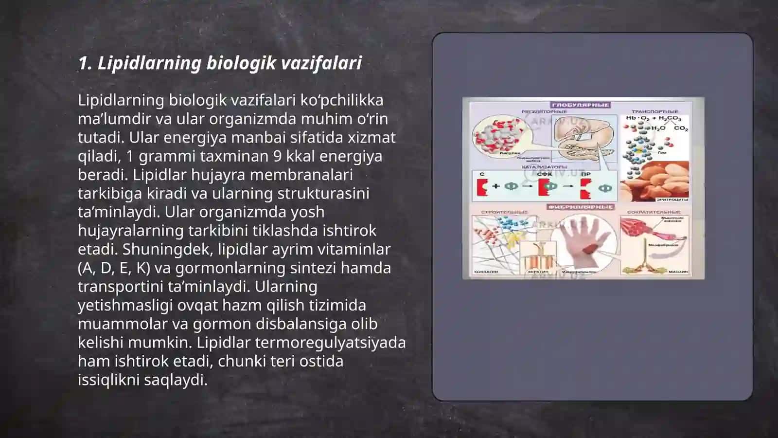 Lipidlarning biologik vazifalari 3