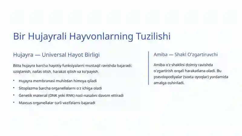 Bir Hujayrali Hayvonlar: Hayotning Mikroskopik Moʻjizalari 3