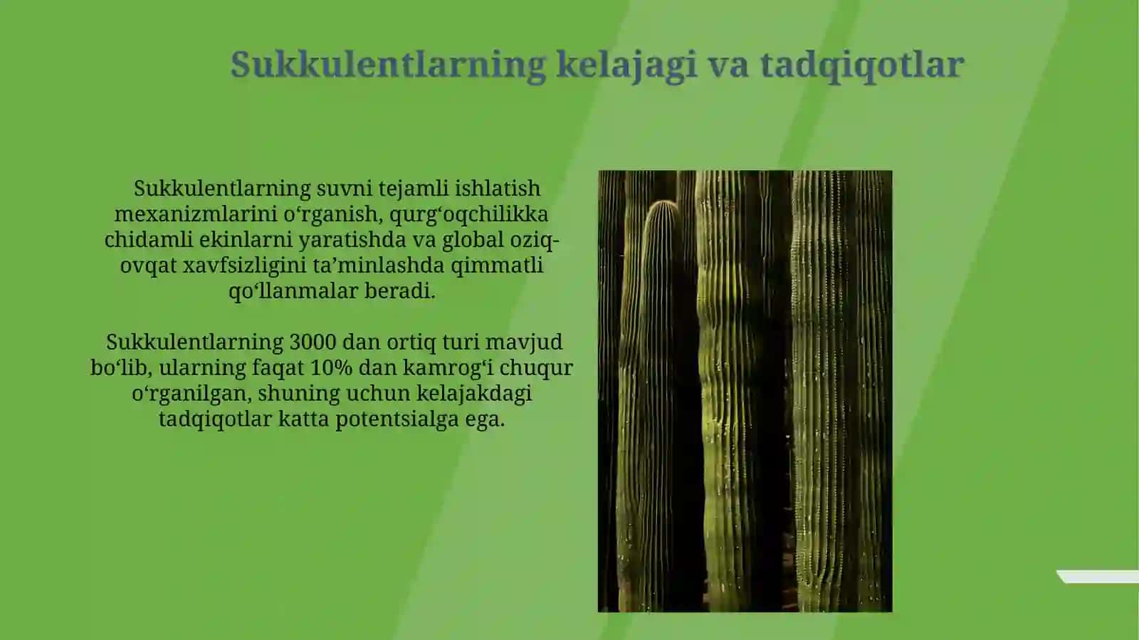 Suvoʻtlarning sistematikasi, tabiatda va inson hayotidagi ahamiyati 3