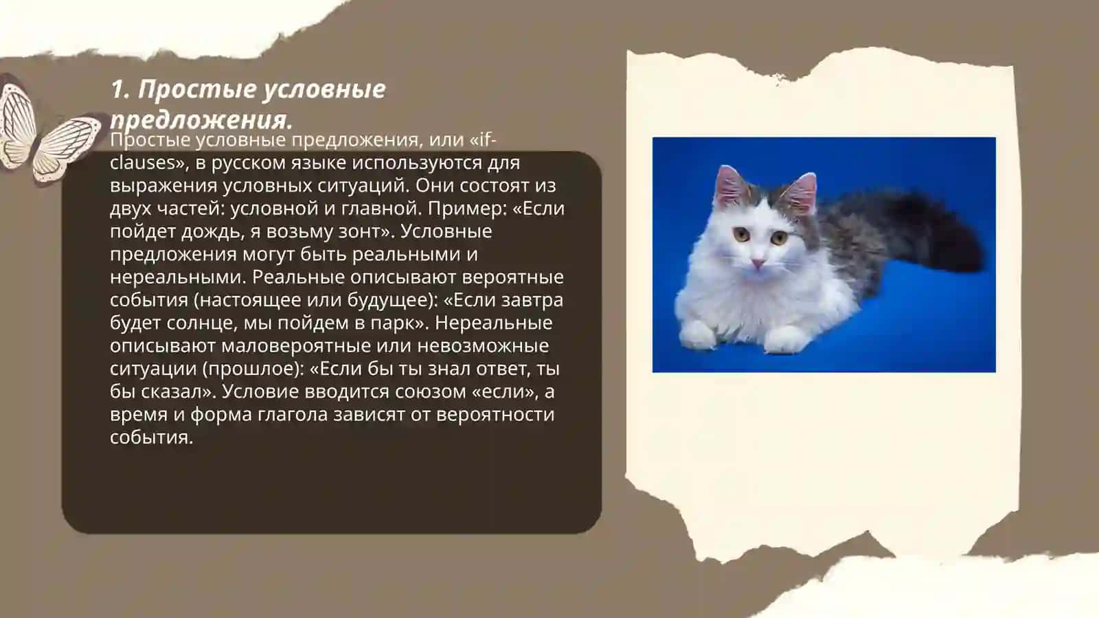 Простые и сложные условные предложения 3