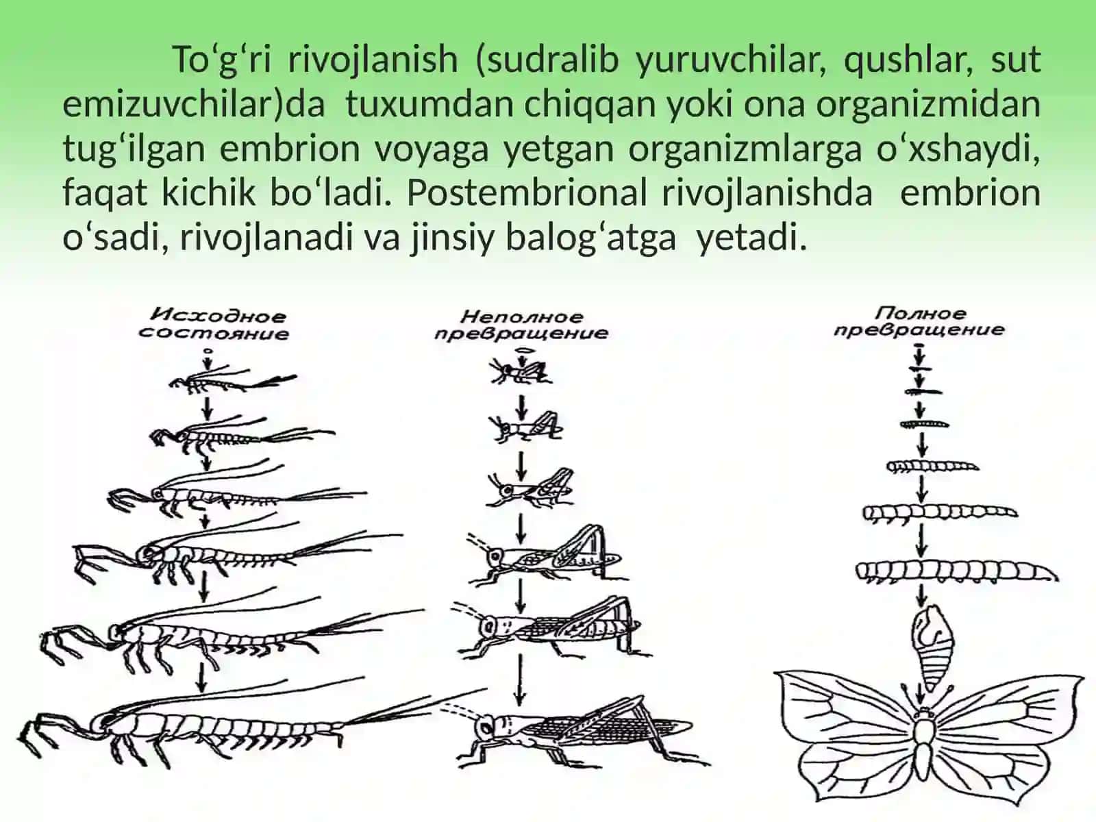 Postembrional rivojlanish 9-sinf biologiya .Postembrional rivojlanish 3