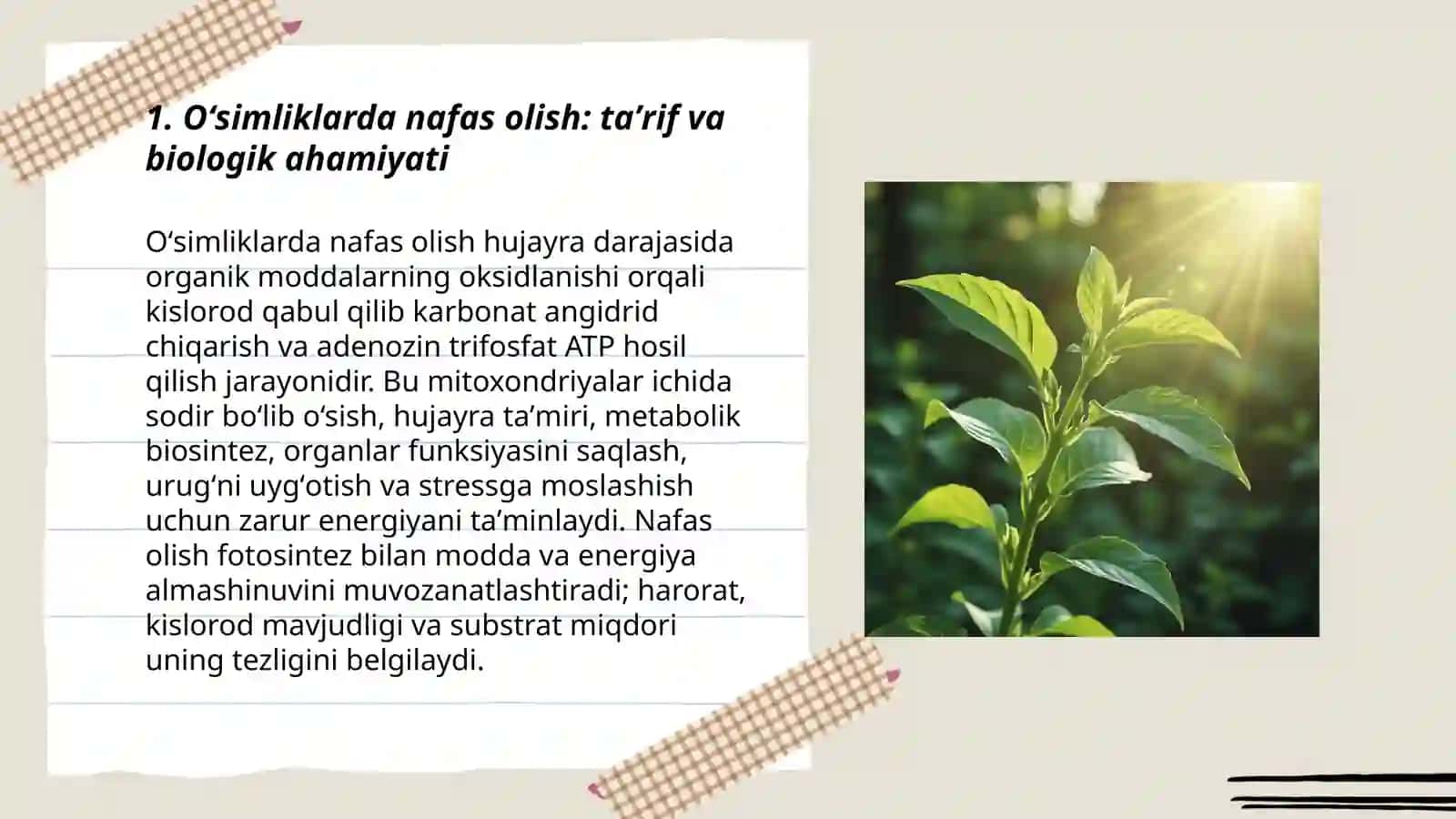 Oʻsimliklarda nafas olish va energetika almashinuvi.Fotosintez va unga taʼsir etuvchi omillar 3