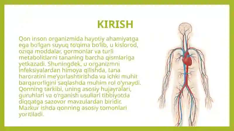 Qon va uning tarkibi.Qonning o'rganish usullari,gematokrit,eritrotsitlar,leykotsitlar,gemoglabinni aniqlash,qon guruhlari va rezus omil haqida tushuncha 3
