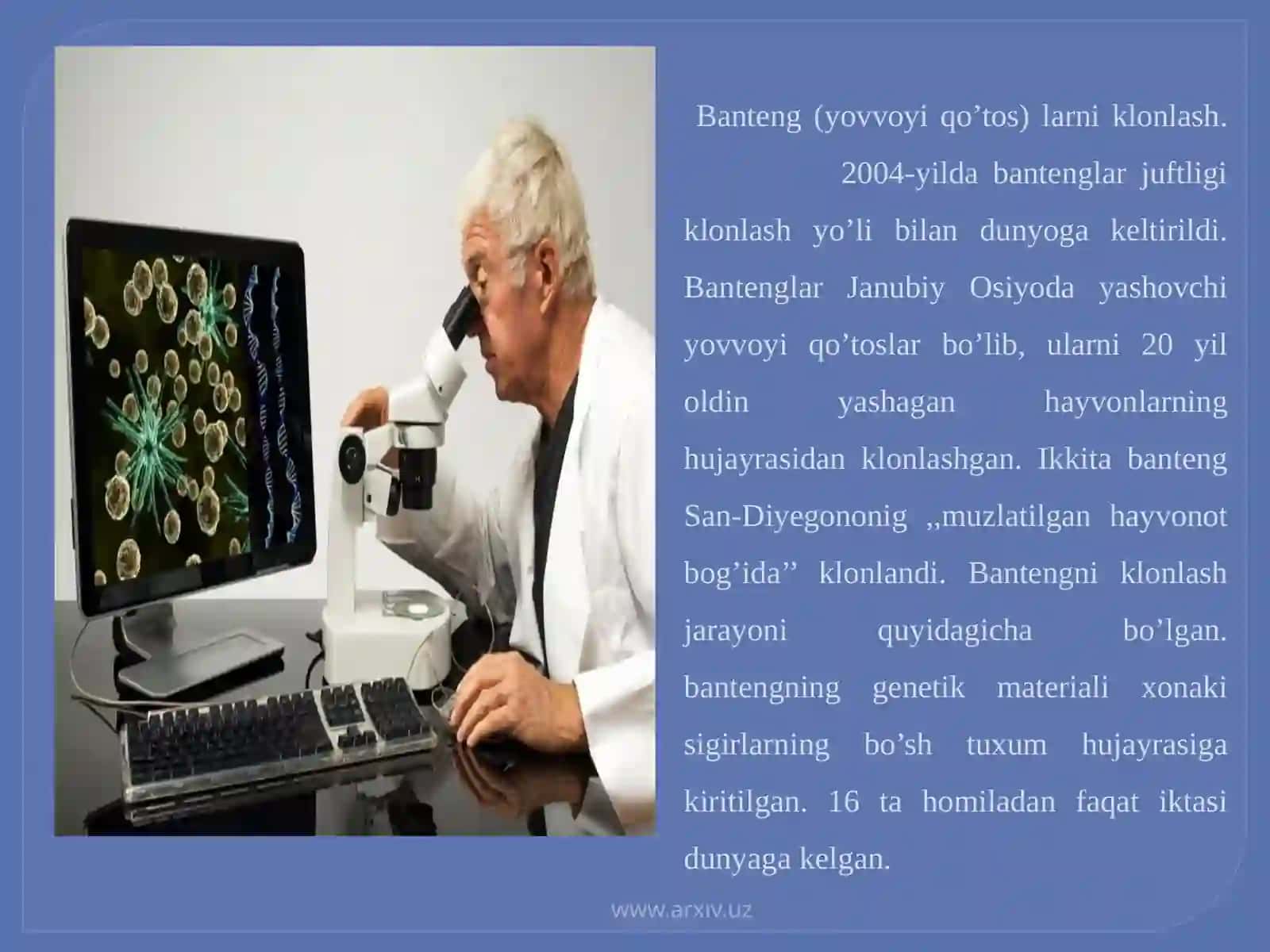Vilmuthamkaslar 3