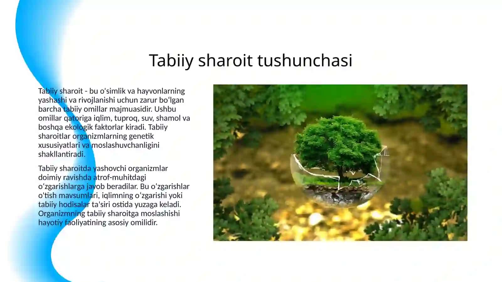TABIIY SHAROITDA O‘SIMLIKLAR VA HAYVONLARDAGI O‘ZGARUVCHANLIK 3
