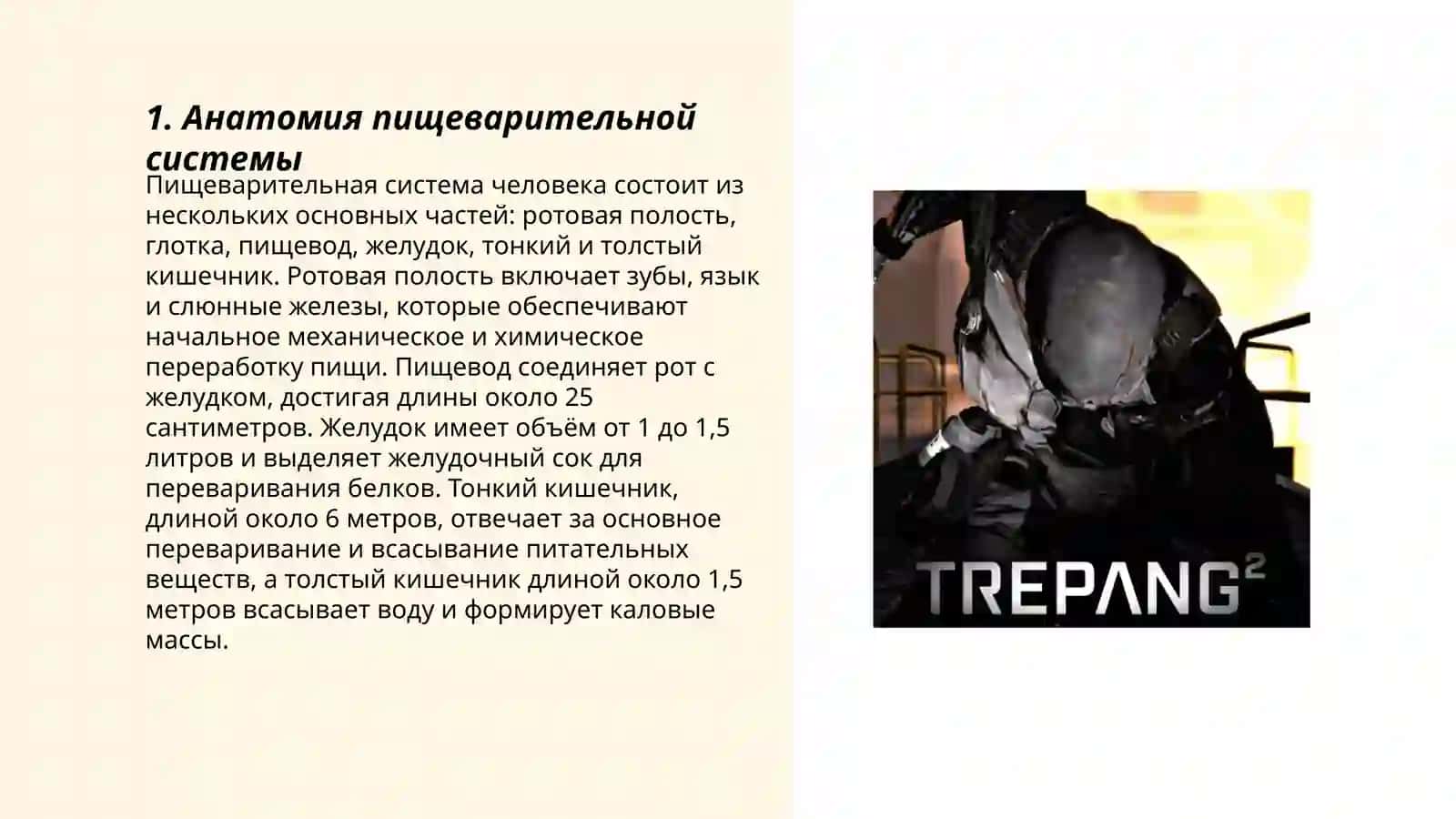Система пищеварения 3