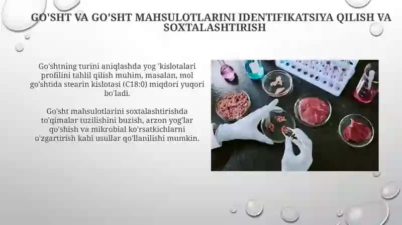 Go'sht va go'sht mahsulotlarini identifikatsiya qilish va soxtalashtirish 3