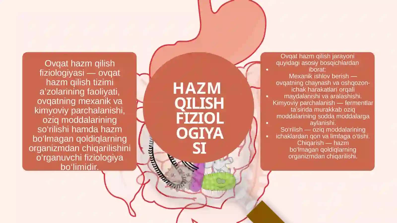 OVQAT HAZM QILISH FIZIOLOGIYASI 3