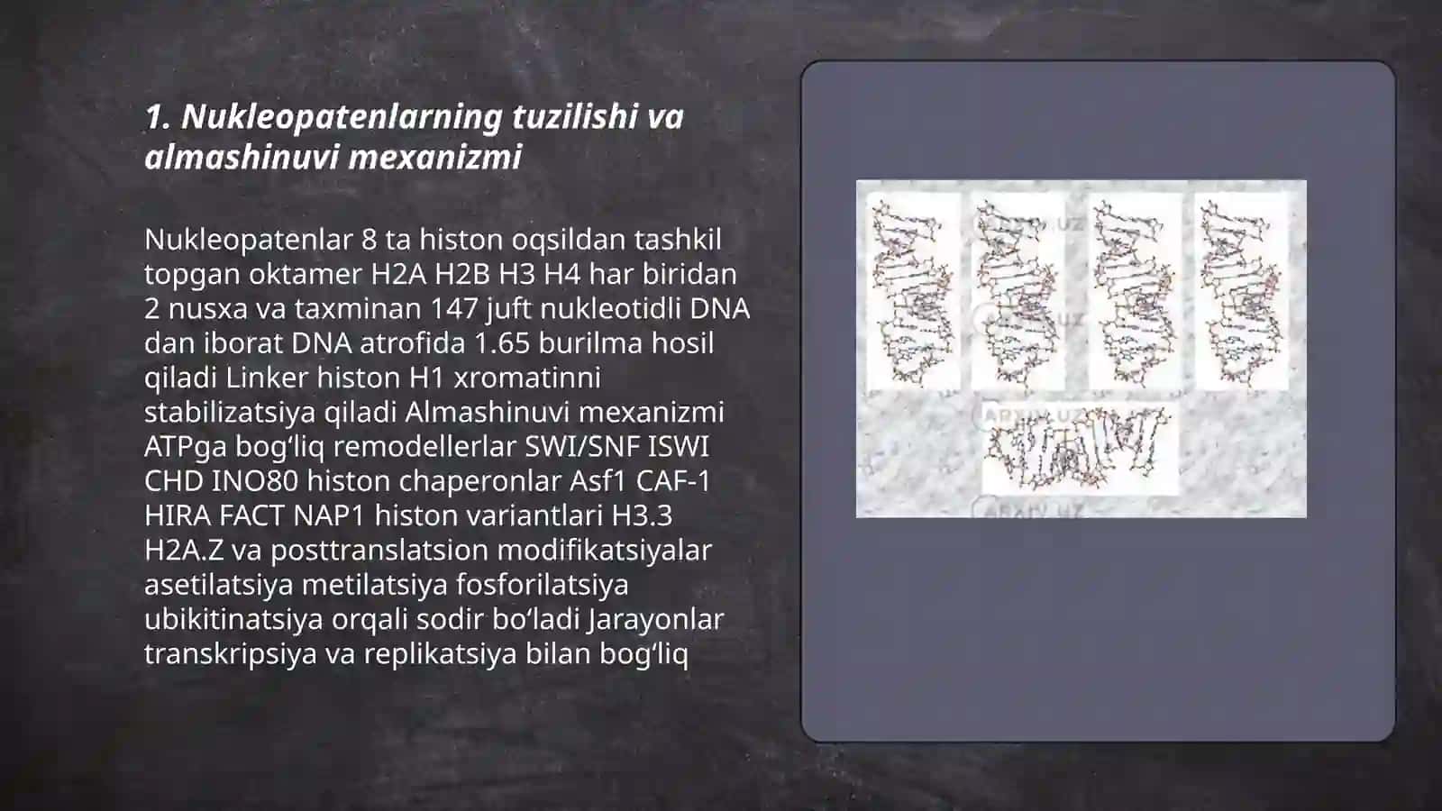 Nukleopatenlarning almashinuvi va vazifalari 3