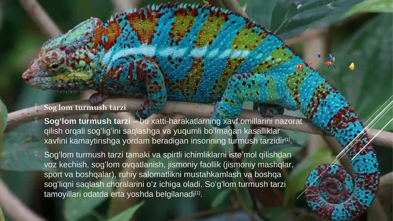 sog’lomturmushtarzi 3