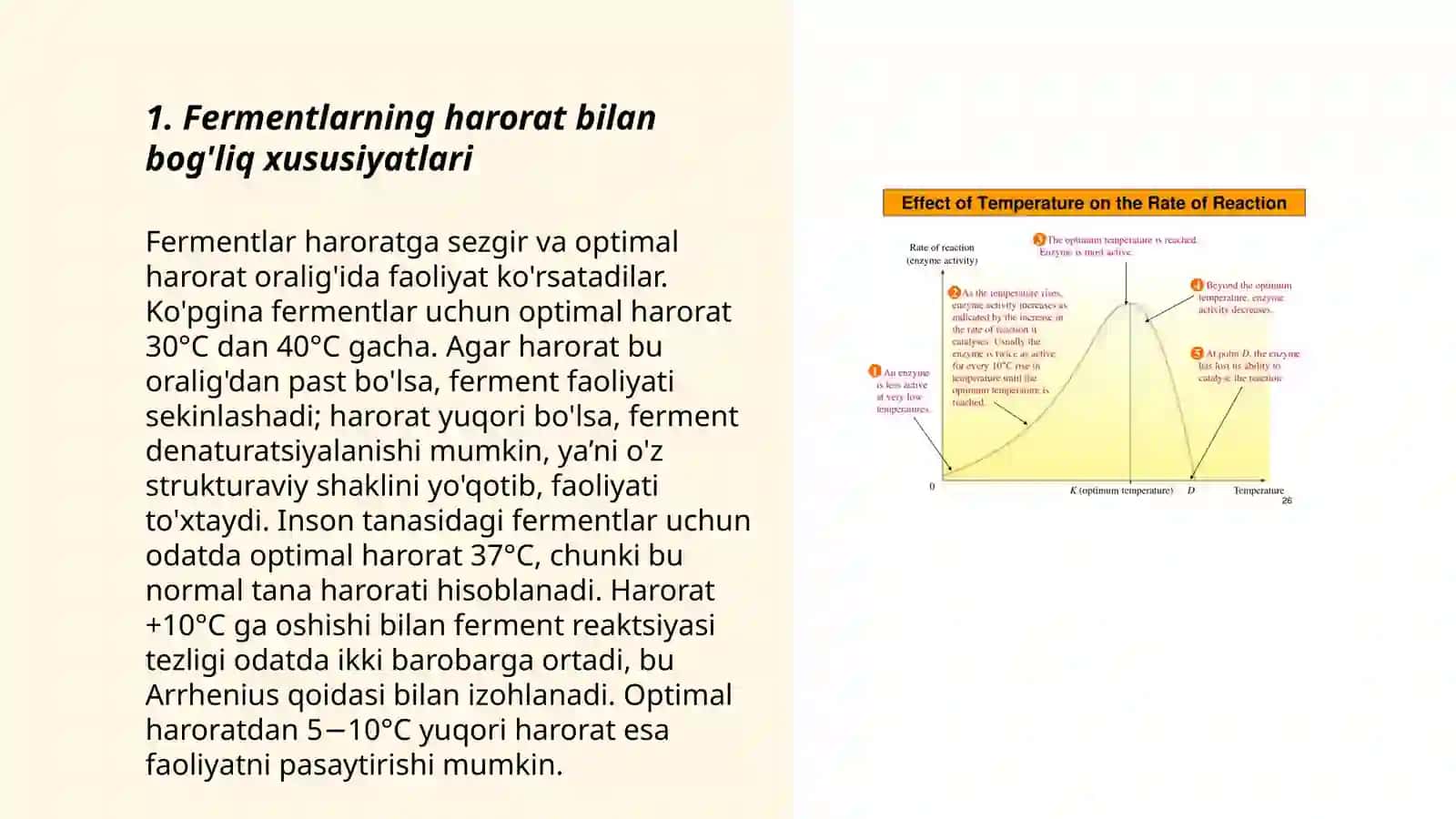 Fermentar aktivligiga haroratning tasiri 3