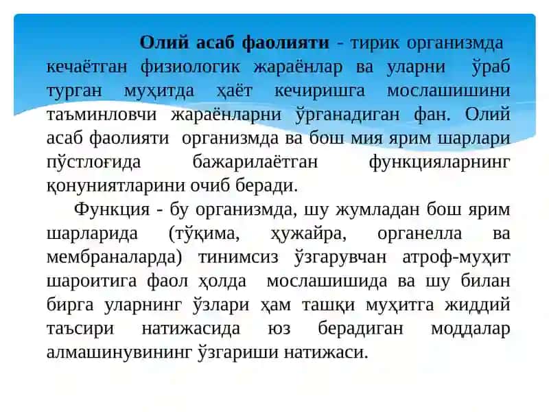 ОЛИЙ NERV SISTEMASI HAQIDA TUSHUNCHA 3