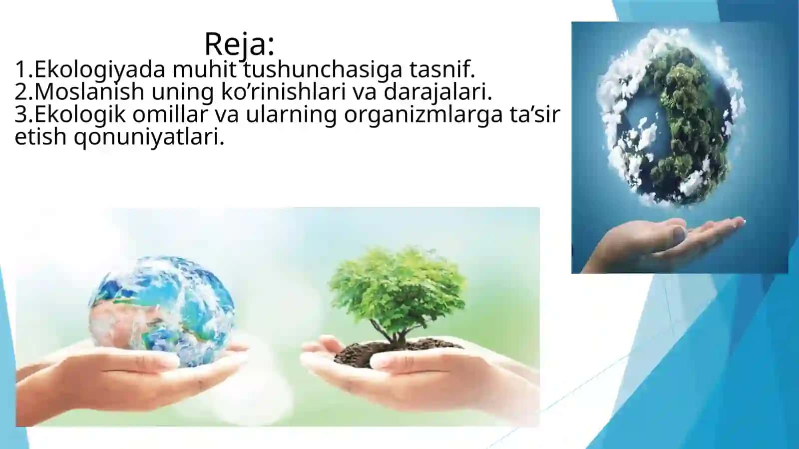 O’simliklarning yashash muhiti 3