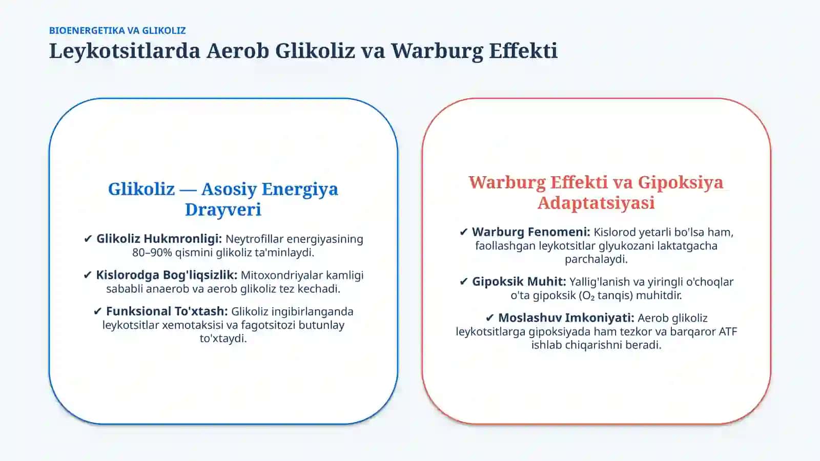 Leykotsitlar metabolizmi: asosiy xususiyatlari — 15 slayd 3