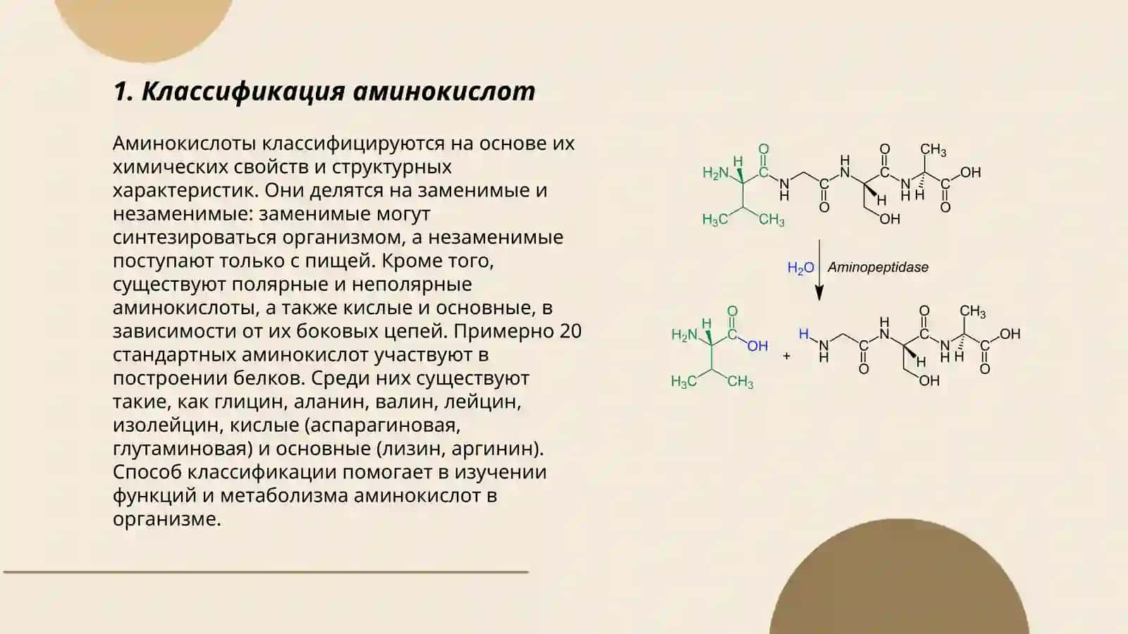 Классификация аминокислот 3