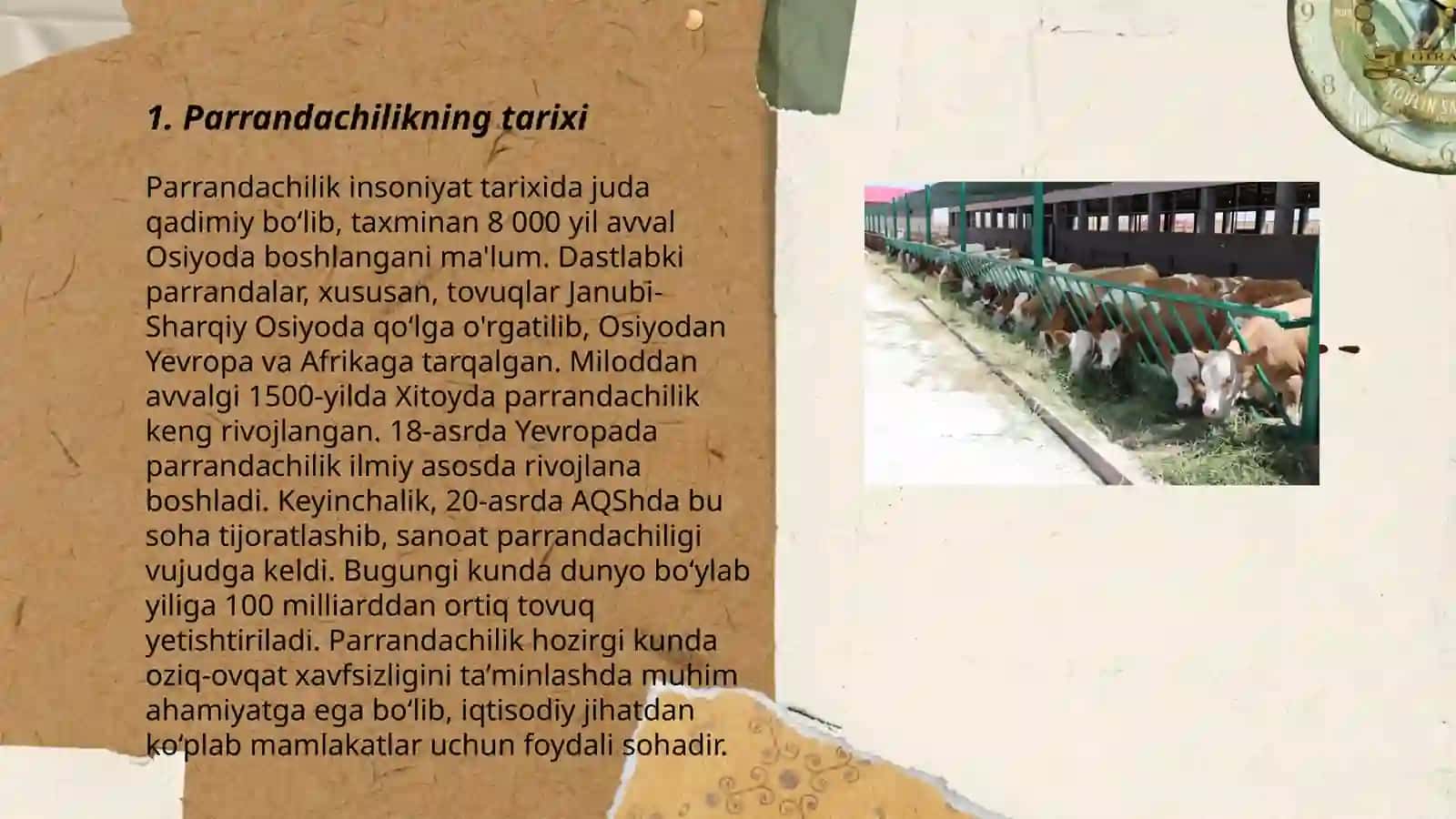 Parrandachilik va chorchachilik 3