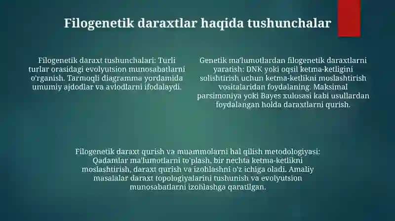 Filogenetik Daraxtga Oid Masala Va Mashqlar Tuzish Hamda Yechish Metodikasi 3