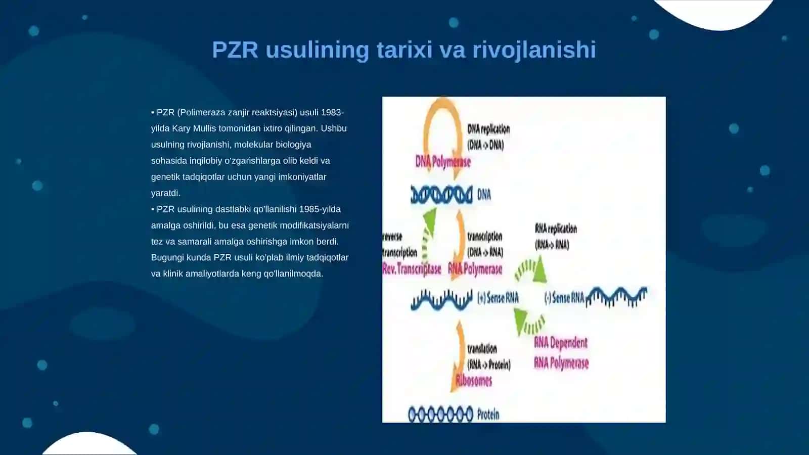 Molekular biologiya sohasida PZR usuli va uning fan rivojidagi yutuqlar 3
