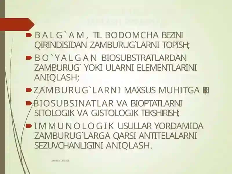 Zamburug'ga oid Vositalar 3