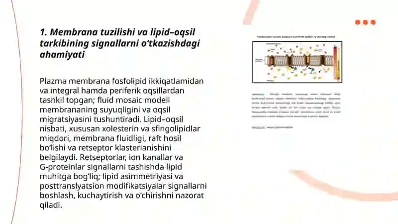 Membranalar tuzilishi va signallarni oʻtkazish 3