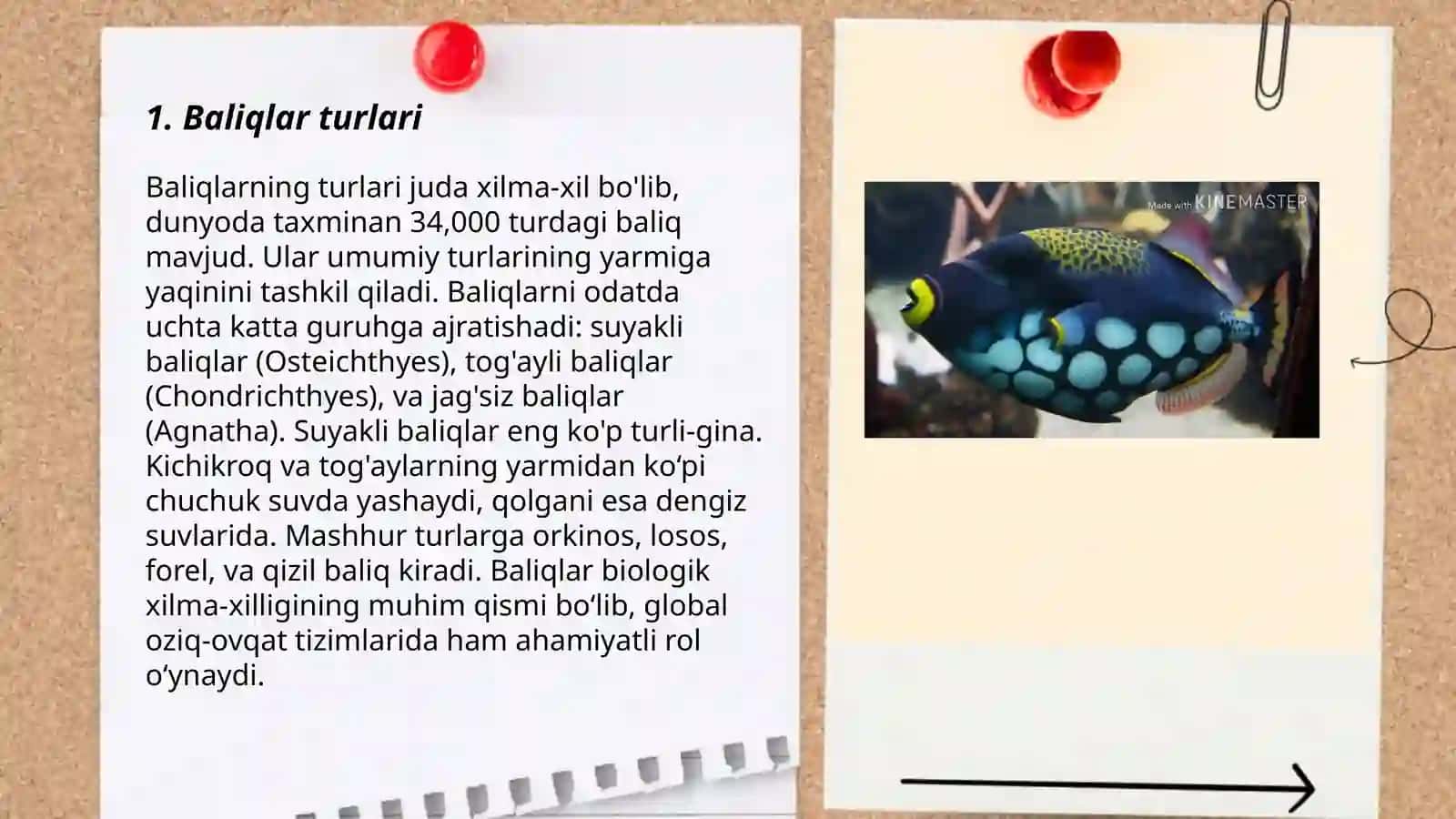 Baliqlar 3