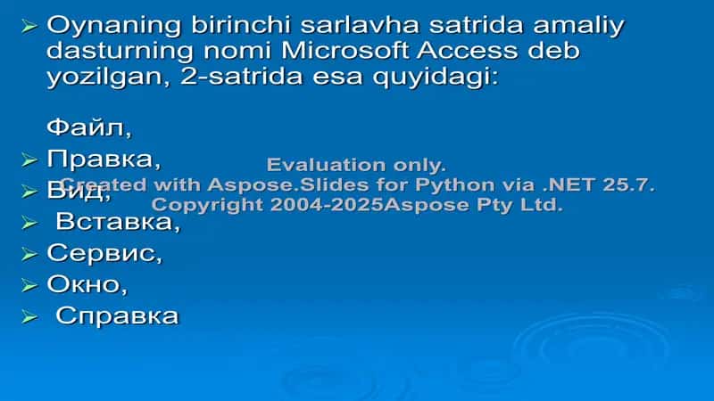 Access 3