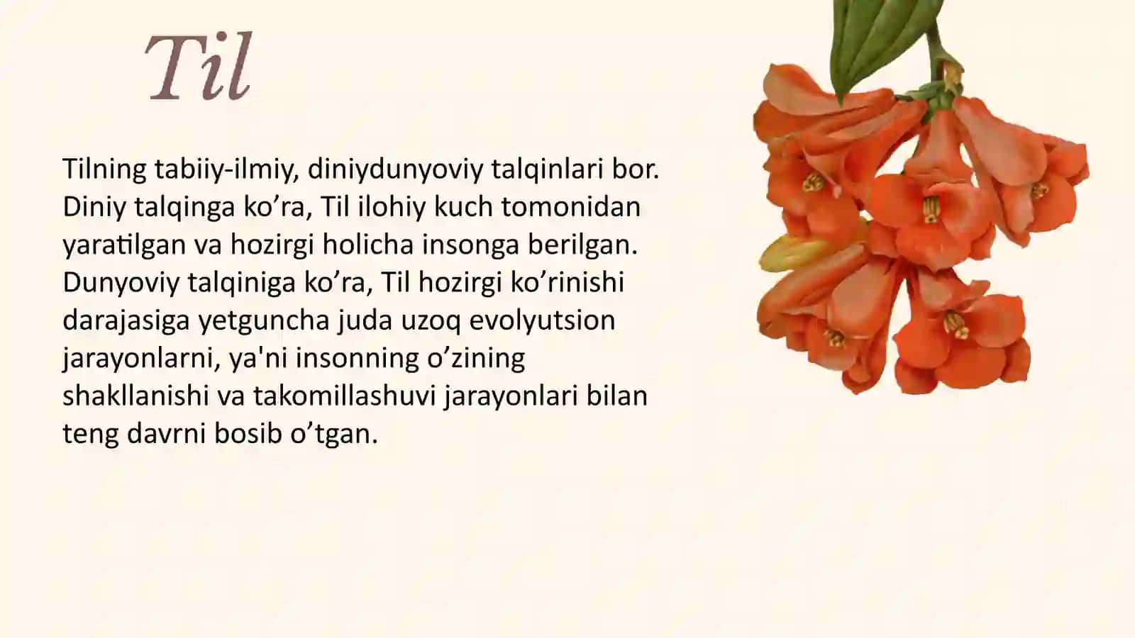 Tilning taraqqiyot bosqichi 3
