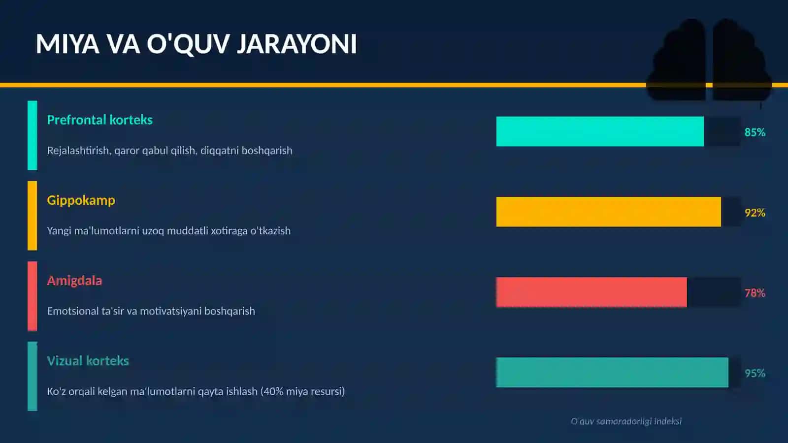 NEYROPEDAGOGIKA va Muloqot Jarayonida Ko'z Harakat Reaksiyalari 3