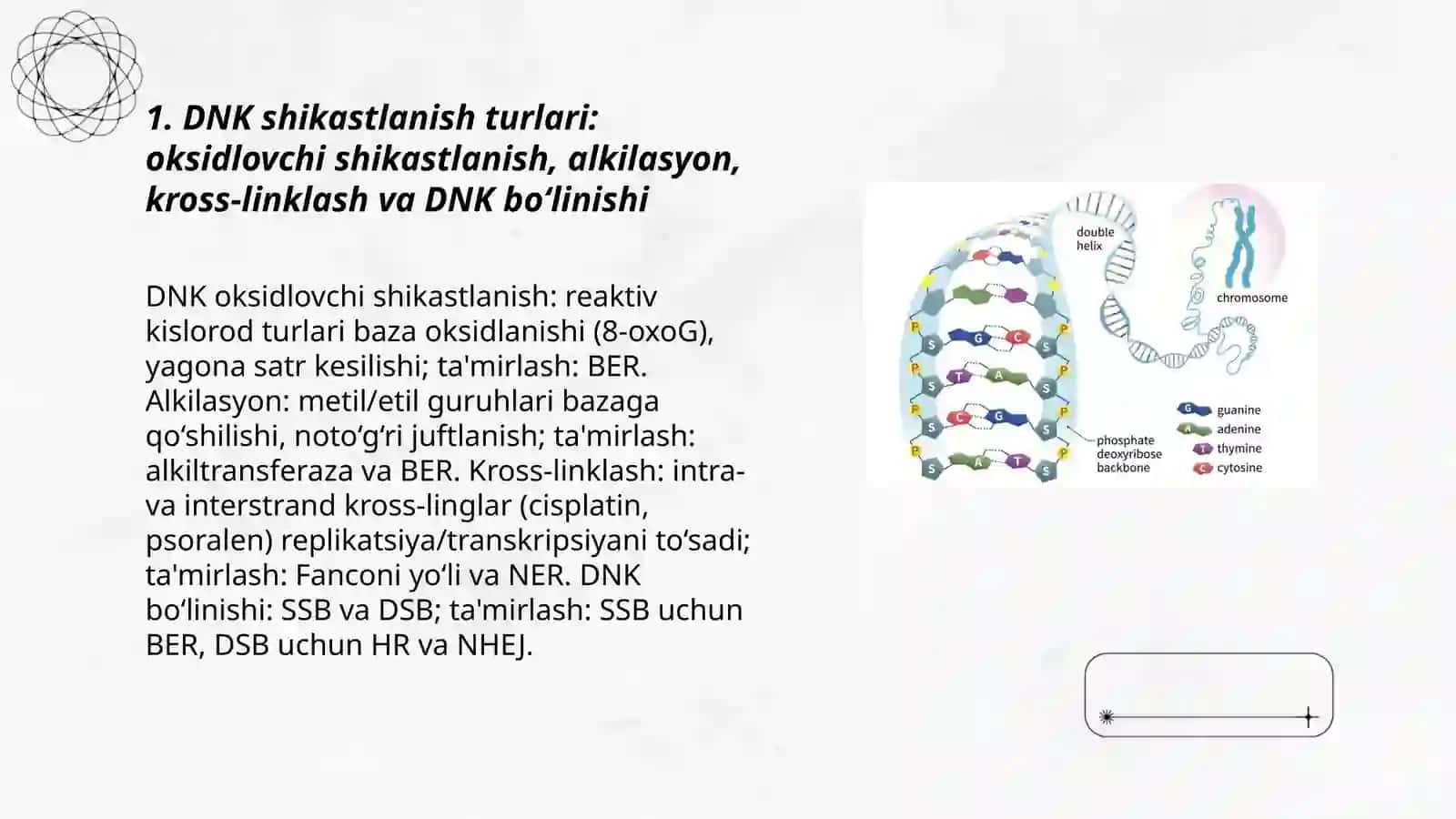Hujayra biologiyasi (apoptoz va nekroz), gen terapiyasi asoslari 3