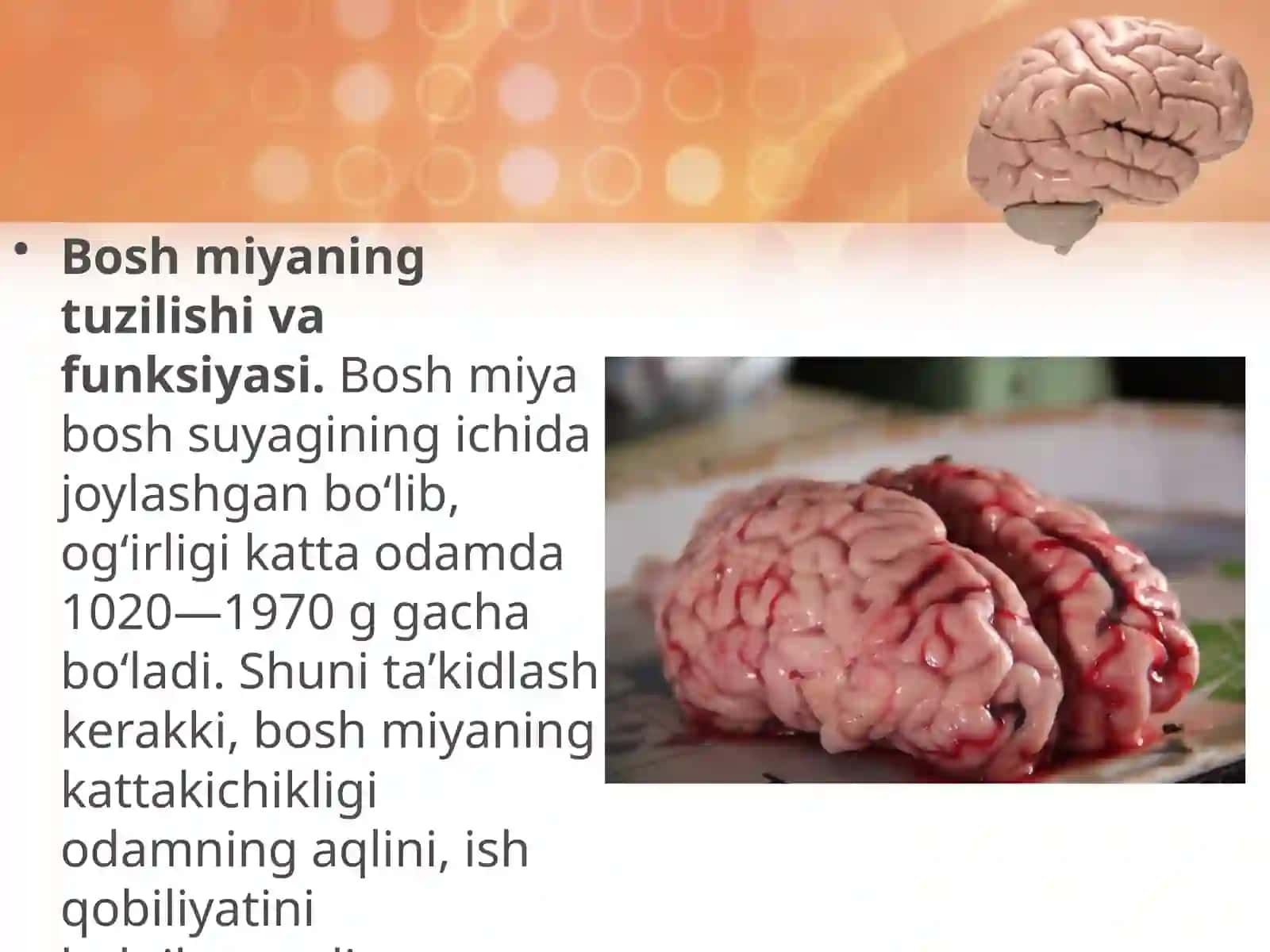 Boshmiyaning ahamiyati haqida tushuncha 3