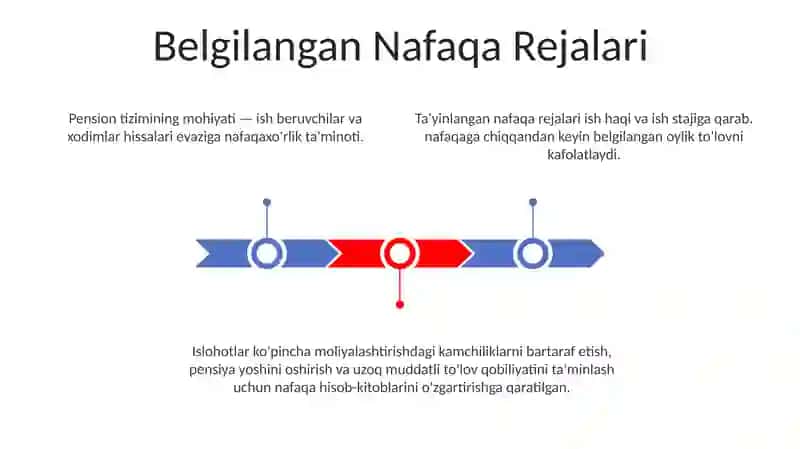 Pensiya tizimining mohiyati va uni isloh qilish 3