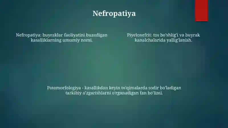 Nefropatiya. Gulmonefrit O'Tkir Va Surnkali Buyrak Yetshmovchligi Pielonefrit Nefroskleroz Potomorfologiyasi 3