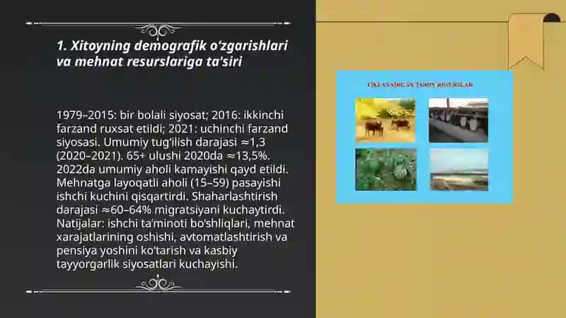 Mehnat resurslarining shakllanishi va ulardan foydalanish muammolari (Xitoy tajribasi misolida) 3