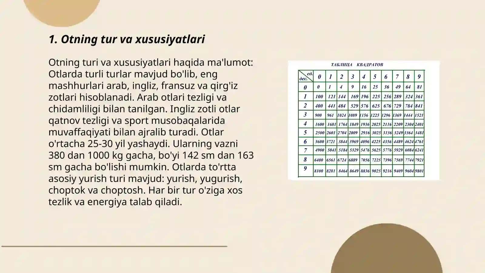 Ot so’z turkumini o’rganishda qo’llanadigan ko’rgazmalar 3