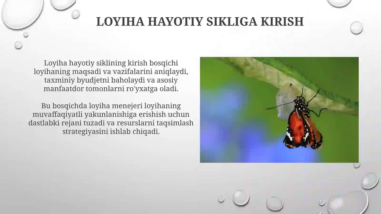 Loyihaning hayotiy sikli asosiy bosqichlari 3