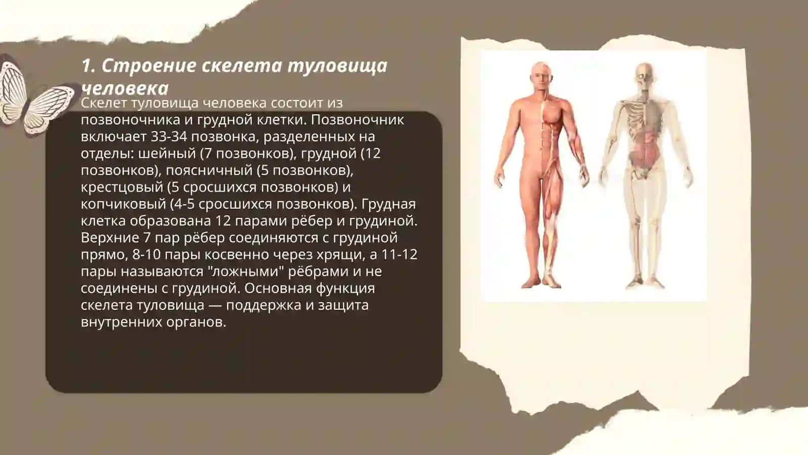 Выражение временных отношений в простом и сложном предложении 3