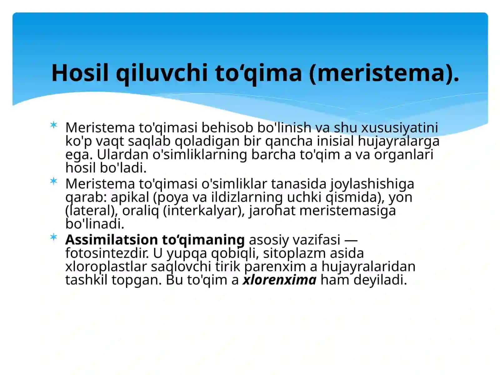 O'simlik To'qimalari Tuzilishi 3