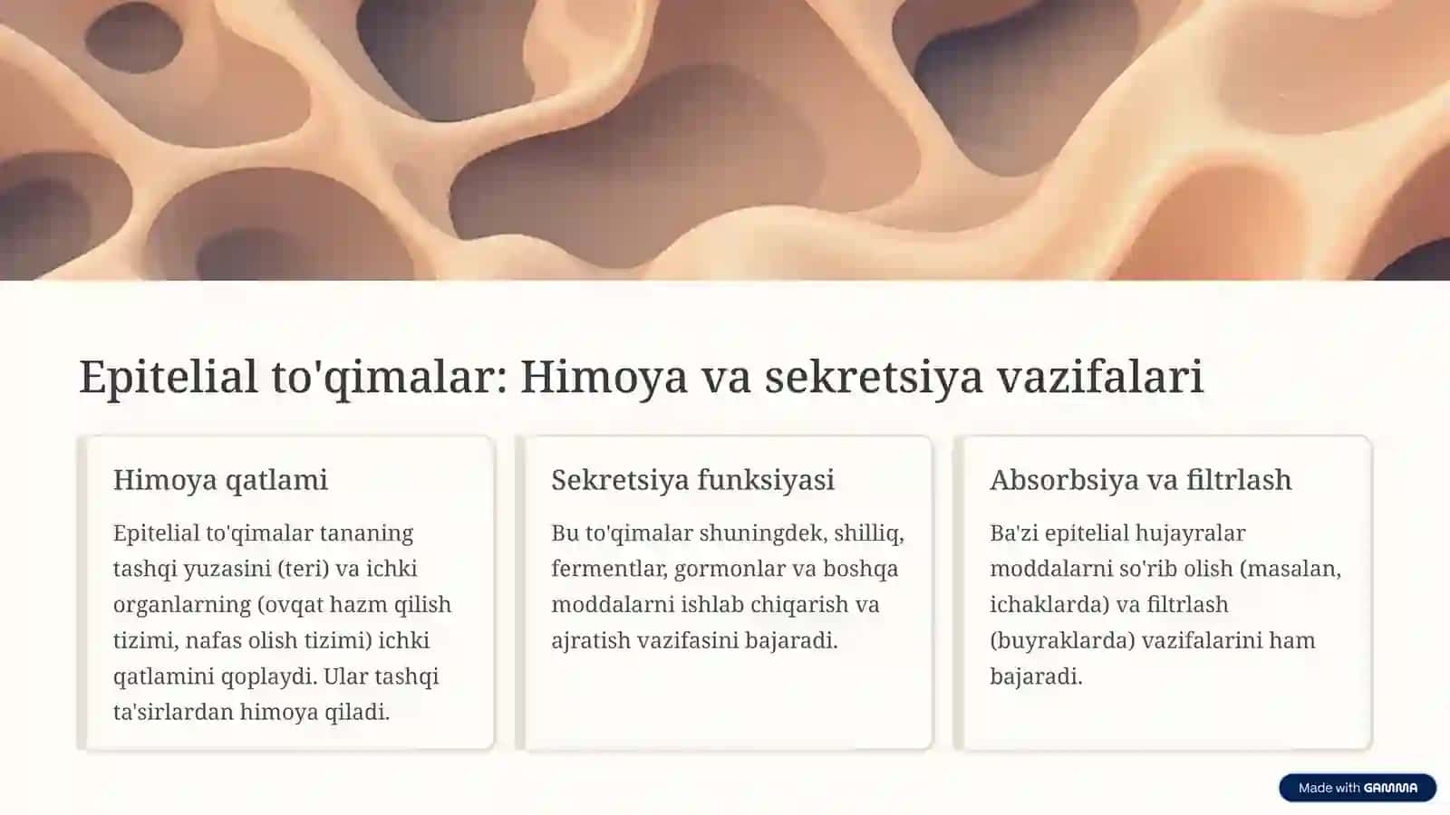 To'qimalar tuzilishi: Hujayralardan Organlarga 3