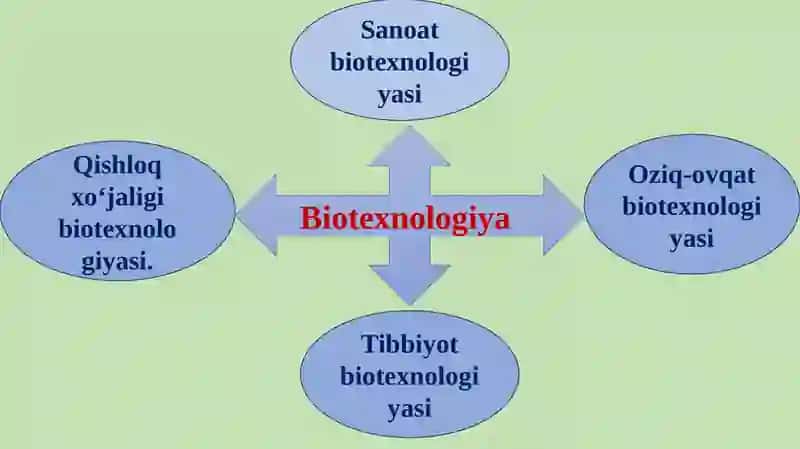Biotexnologiyaning oziq-ovqat sanoatidagi roli 3