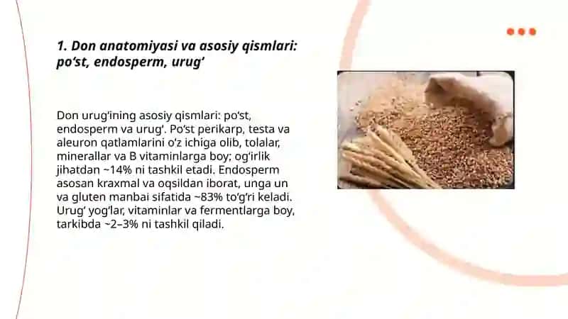 Donlar tuzilishi va ishlab chiqarishdagi ahamiyati 3